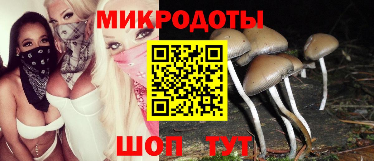 Псилоцибиновые грибы прущие грибы Семилуки