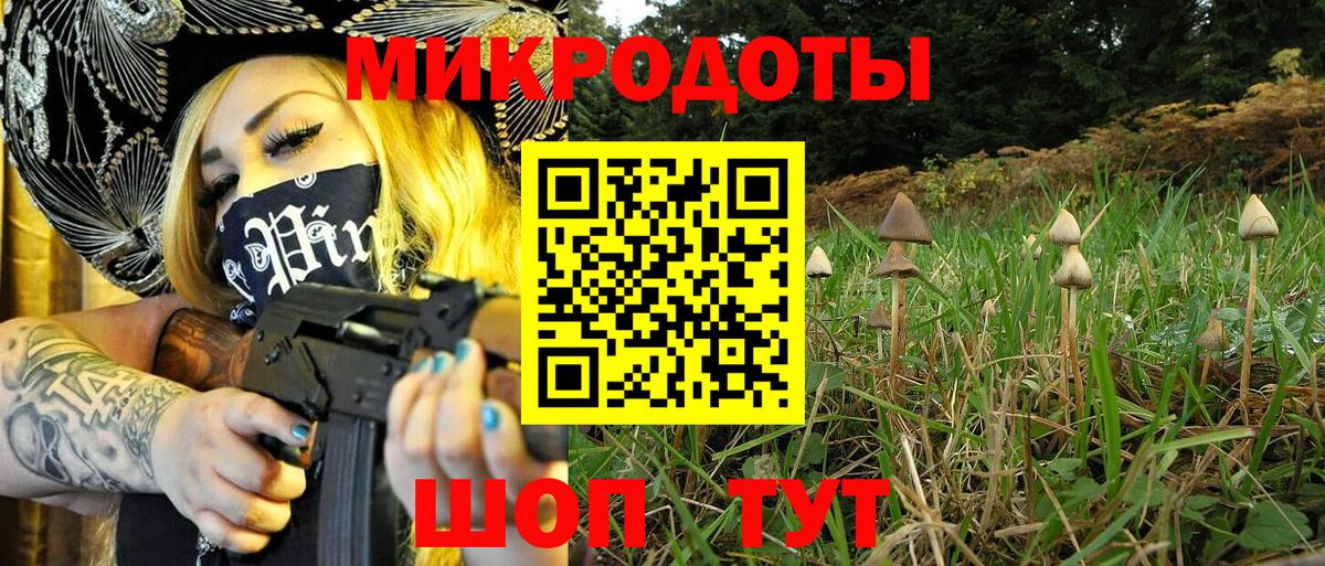 Семилуки  Псилоцибиновые грибы мухоморы  Вход с VPN 